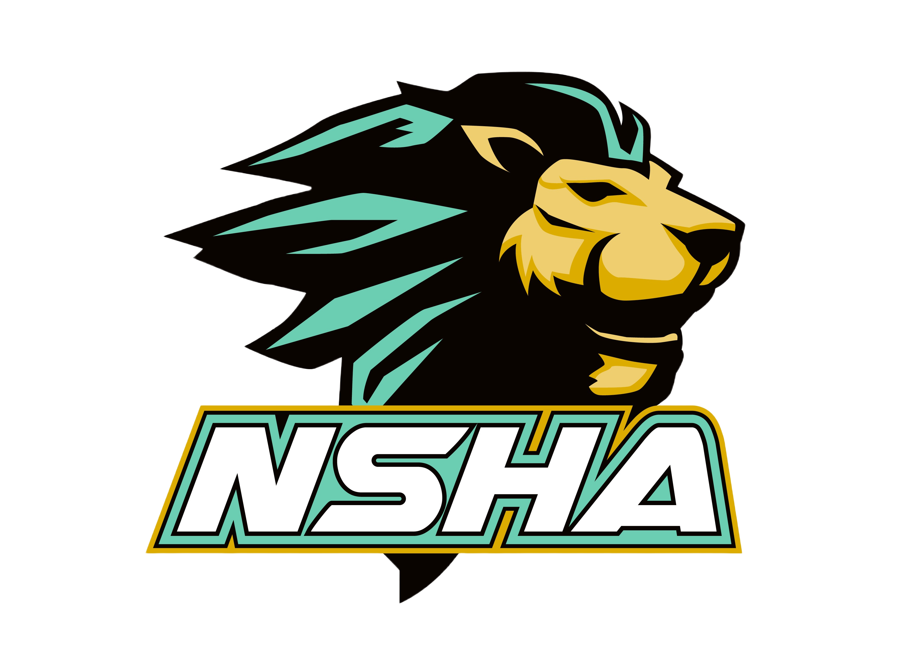 (3) North Shore Hebrew Academy Lions